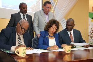 Govt ramping up efforts to protect Jamaica’s coffee brand