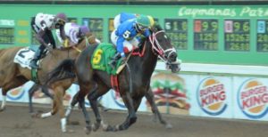 Local jockeys feeling the pinch at Caymanas Park