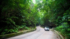 Drivers of large vehicles reminded not to go through Fern Gully