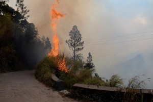 St. Andrew bush fires extinguished