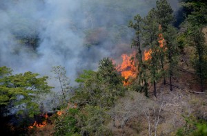 St Thomas Fire Damage Assessed