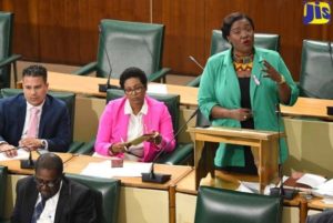 Government Senator tables motion calling for legislation on surrogacy