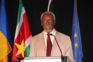 Former Prime Minster urges the including diaspora in investments locally