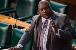 Senator Skeffery wants more than a name change for Portmore