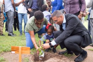 Tree planting initiative aimed at restoring forest cover