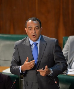 Tufton defends integrity of health ministry staff following reports of 35 dengue related deaths