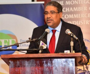 Tourism Minister to chair regional panel for integration