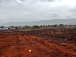 Fire damage at farms in Flagaman in excess of $100 m