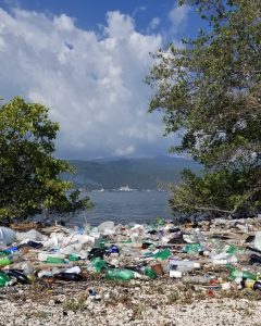 160 sites registered for International Beach Clean up day