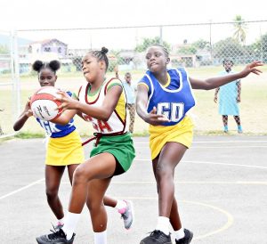 Gregory Park White Horses among winners in Round-of-16 in the INSPORTS Primary School Netball