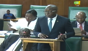 Senate extends SOE in St Andrew