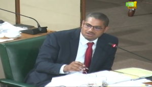 Opposition says the gov’t is to be blamed for the chaos in public passenger transport sector