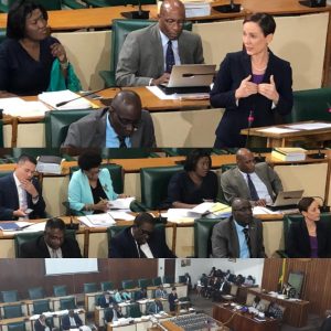 Govt. senators pass Petrojam compulsory acquisition bill after Opp. senators walk out