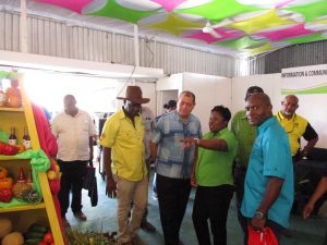 Shaw: Jamaica must take strong action on cannabis industry