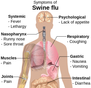 3 dead due to H1N1 influenza