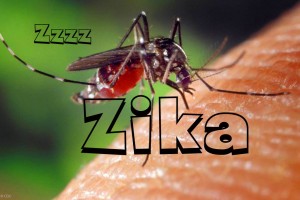 Dr urges residents to protect against Zika Virus